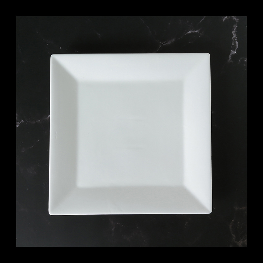 10 Inch Square Plate Dish