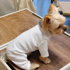 Pet Clothing For Small Dogs, Four-legged Garment - White - View 1