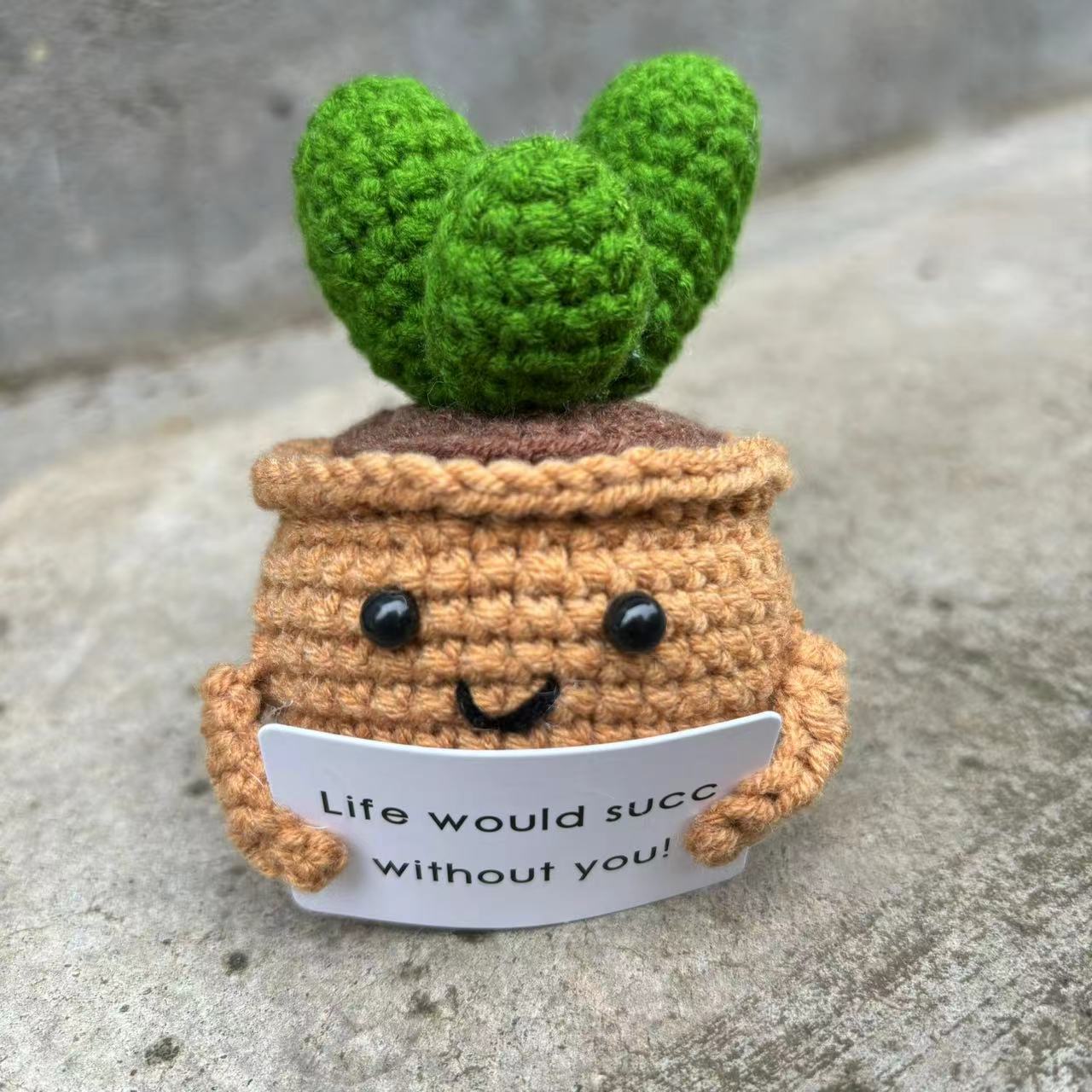 Title 5, Ornements de succulentes crochetées à la main e...