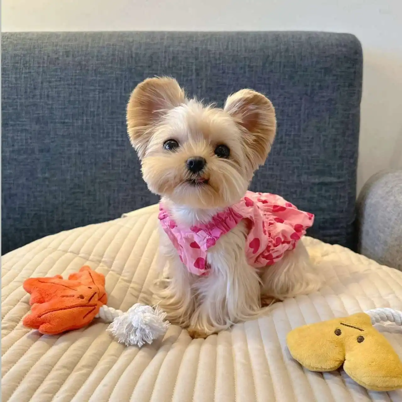 Springsummer Dog Clothes Princess Dress