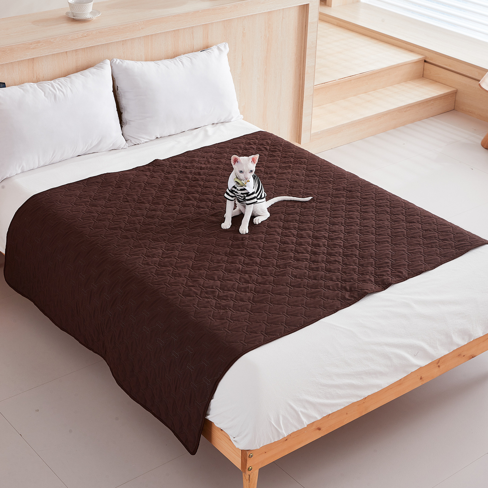 https://cf.cjdropshipping.com/quick/product/a2bba904-9a36-49bc-9a57-b758846319c0.jpg