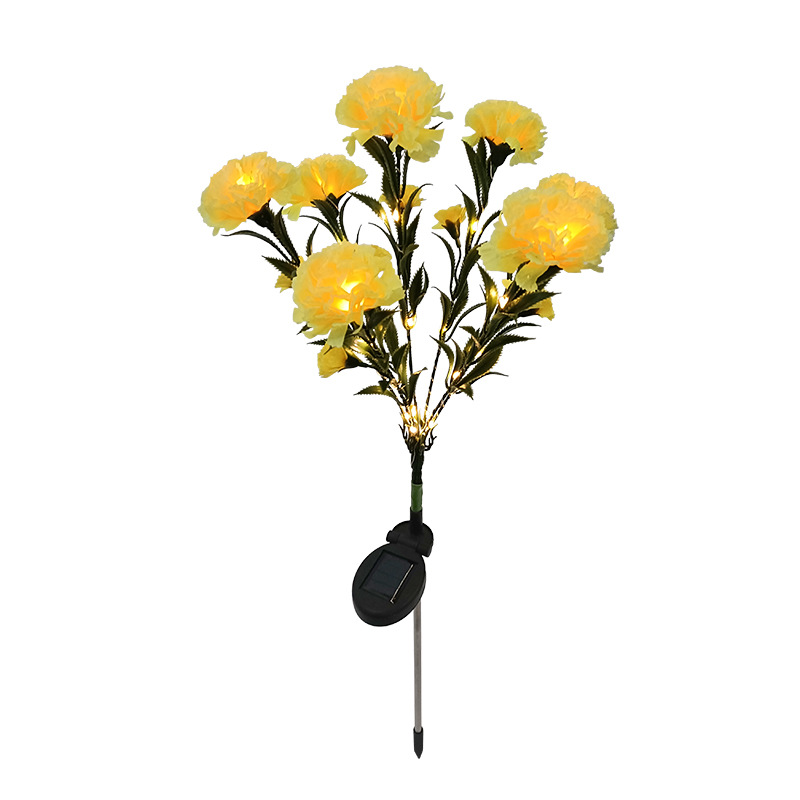 Yellow Carnation