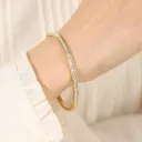 29D10 Starry Gold