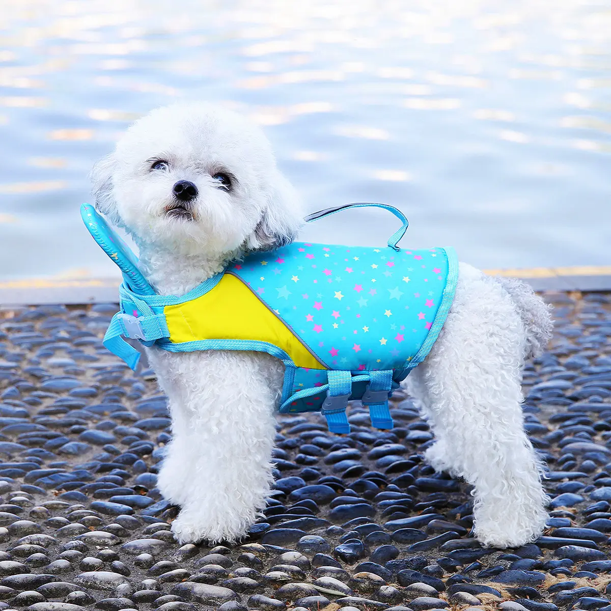 New Summer Puppy Swimming Training Suit