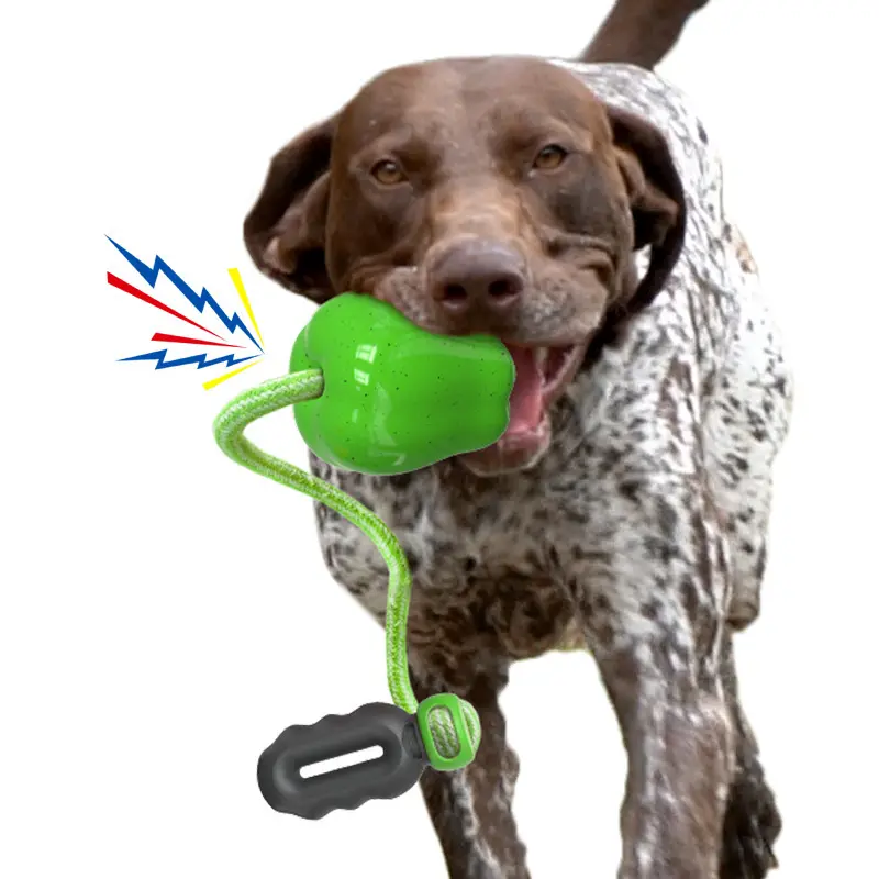 Pet Food Dropping Ball Dog Molar Outdoor
