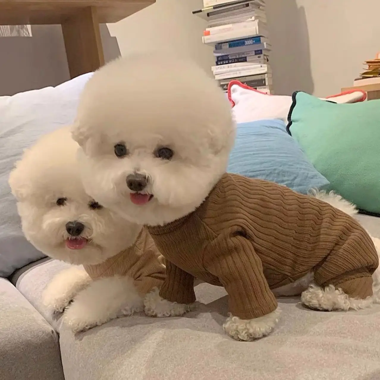 Pet Autumn Four-legged Pet Clothing Dog Bottoming Shirt Teddy Bichon VIP Schnauzer York Summer Small Dog Clothes
