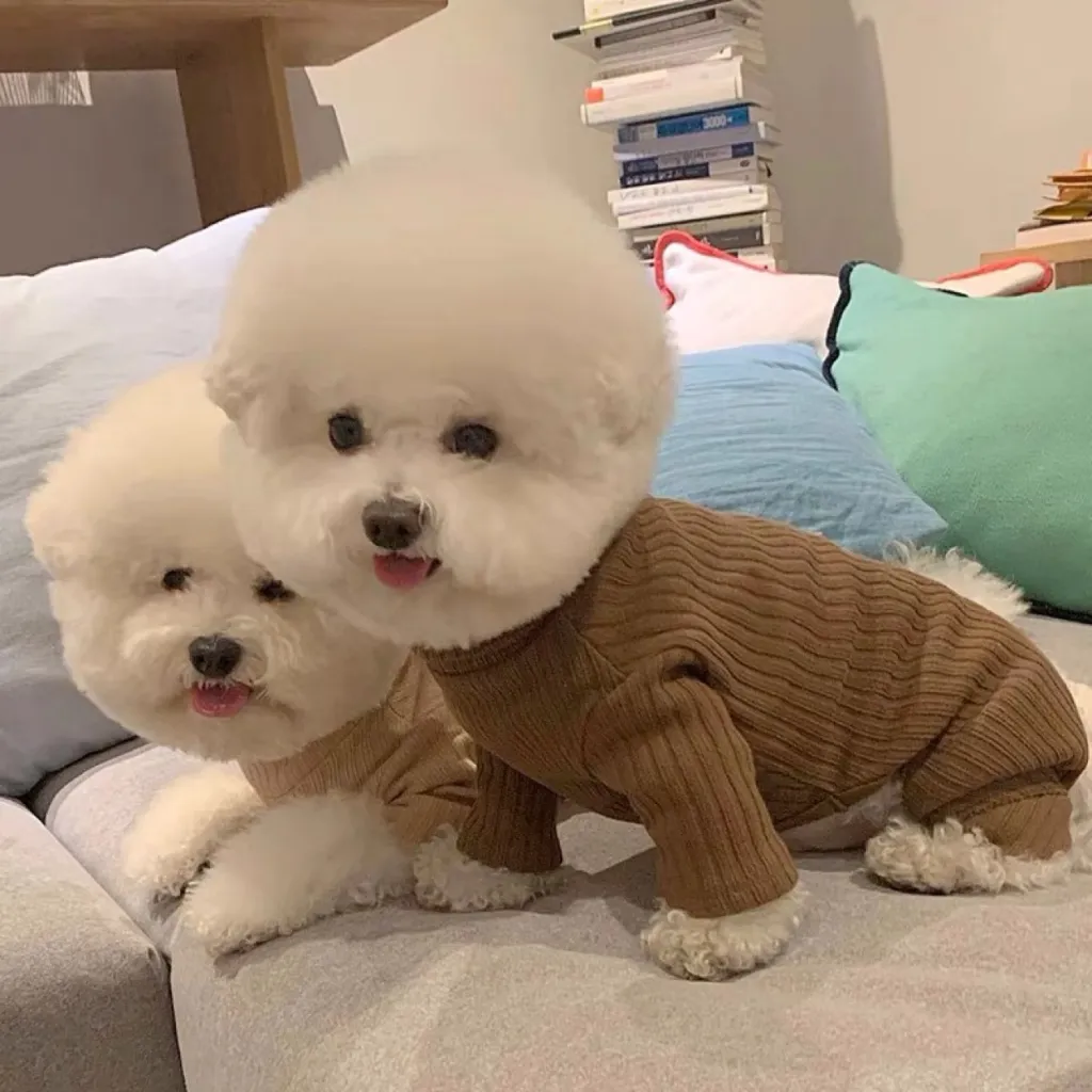 Pet Autumn Four-legged Pet Clothing Dog Bottoming Shirt Teddy Bichon VIP Schnauzer York Summer Small Dog Clothes - Brown Four Legged Base