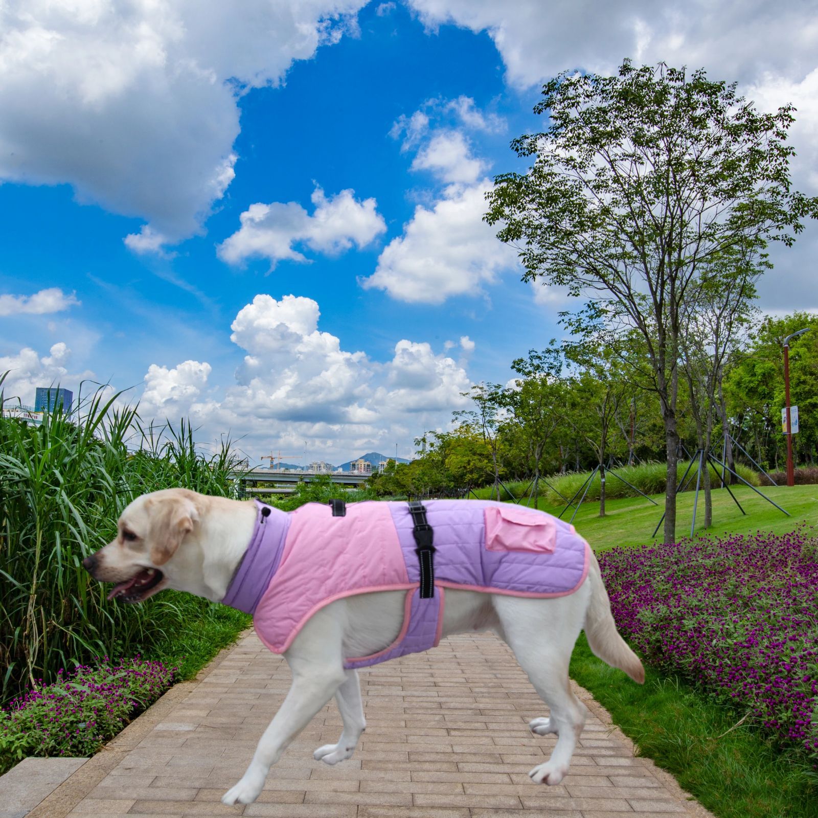 Title 5, Manteau épais et chaud pour chien, automne et h...