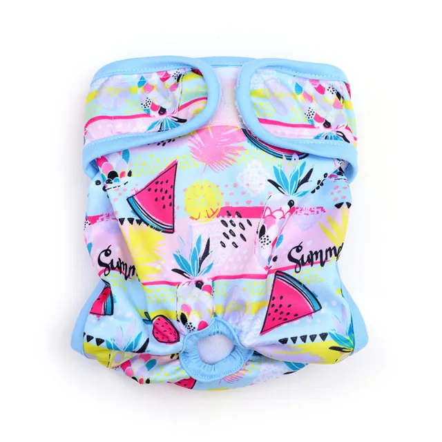 Fashion Printed Pet Supplies Menstrual Panties Blue Watermelon - Shop at LoveMi