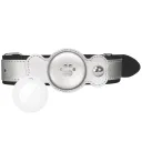 Bone Silver