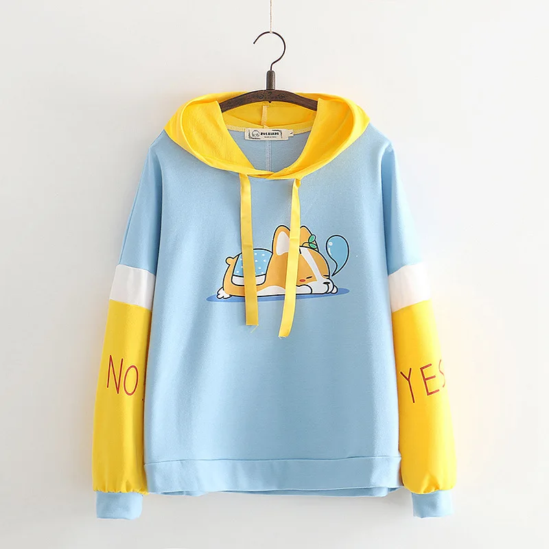 Title 4, Printed hooded sweatshirt