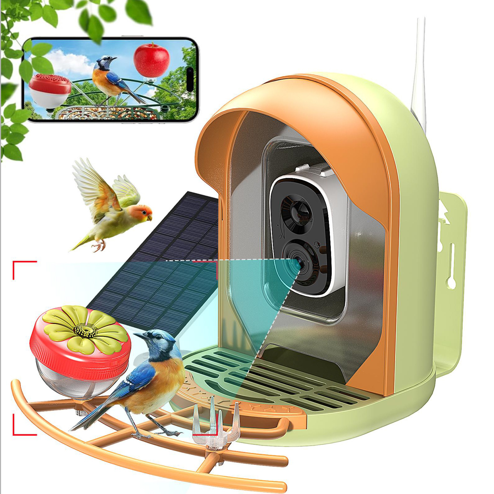 Smart Bird Feeder With AI-powered Camera Outdoor Solar Charging 7