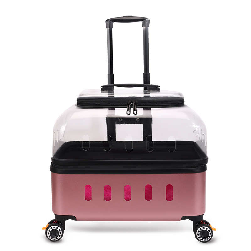 https://cf.cjdropshipping.com/quick/product/a537a753-b8ec-4c56-a4df-664887a3bcce.jpg