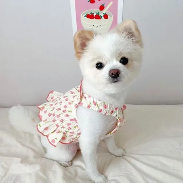 Dog Pet Clothes Summer Halter Skirt Pink - Shop at LoveMi