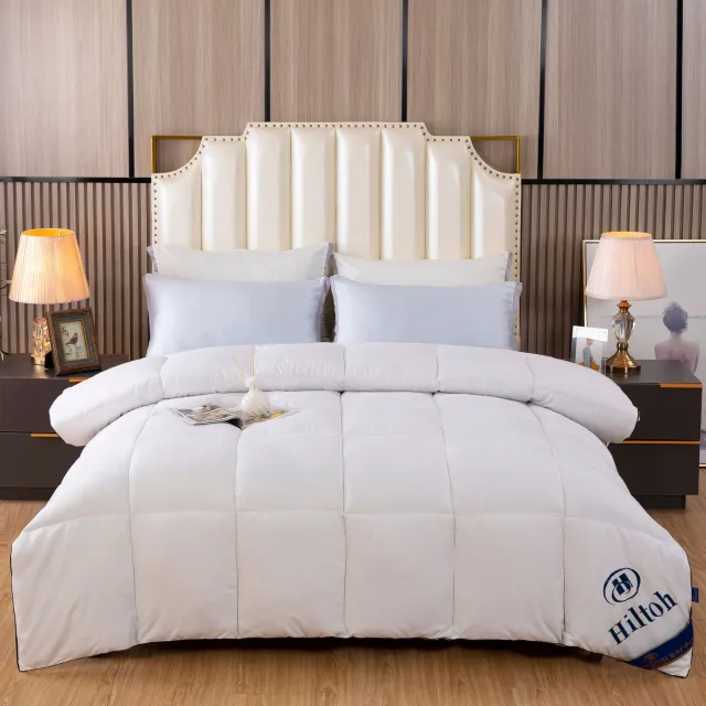 Downfull Spring And Autumn Winter Duvet Thickened Classic White - Shop at LoveMi