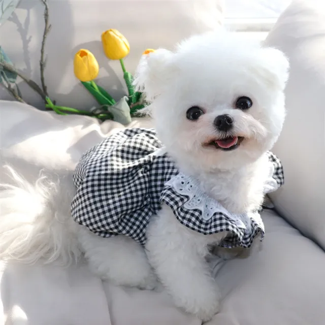 Fashion Summer Thin Dog Princess Skirt Princess Dress - Shop at LoveMi