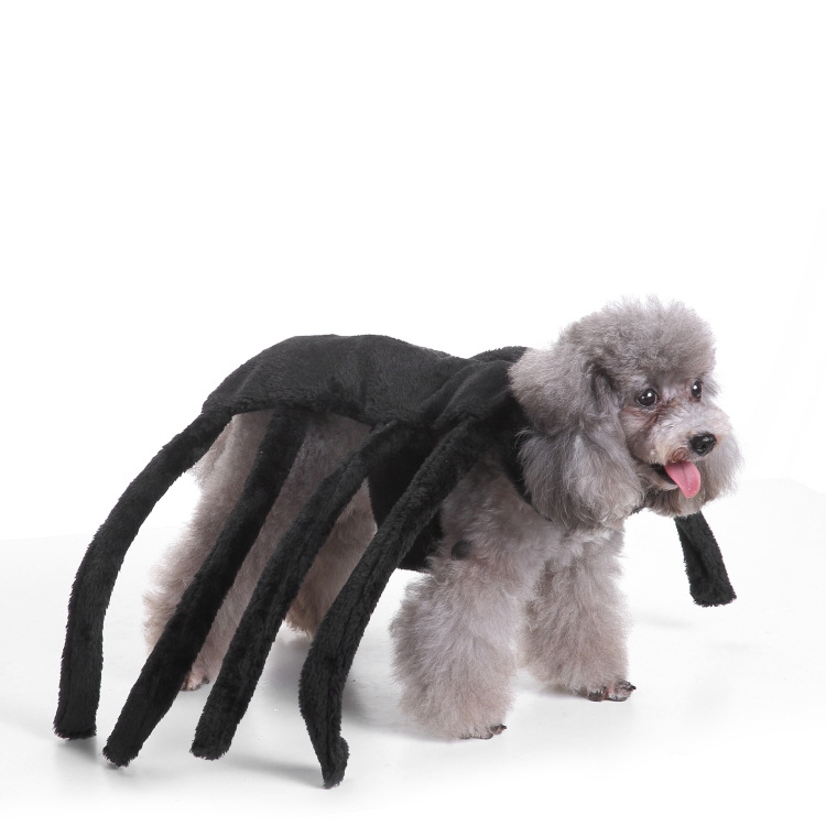 Dog Carrier With Pet-handling Handle And Auxiliary Leash detail photo 7
