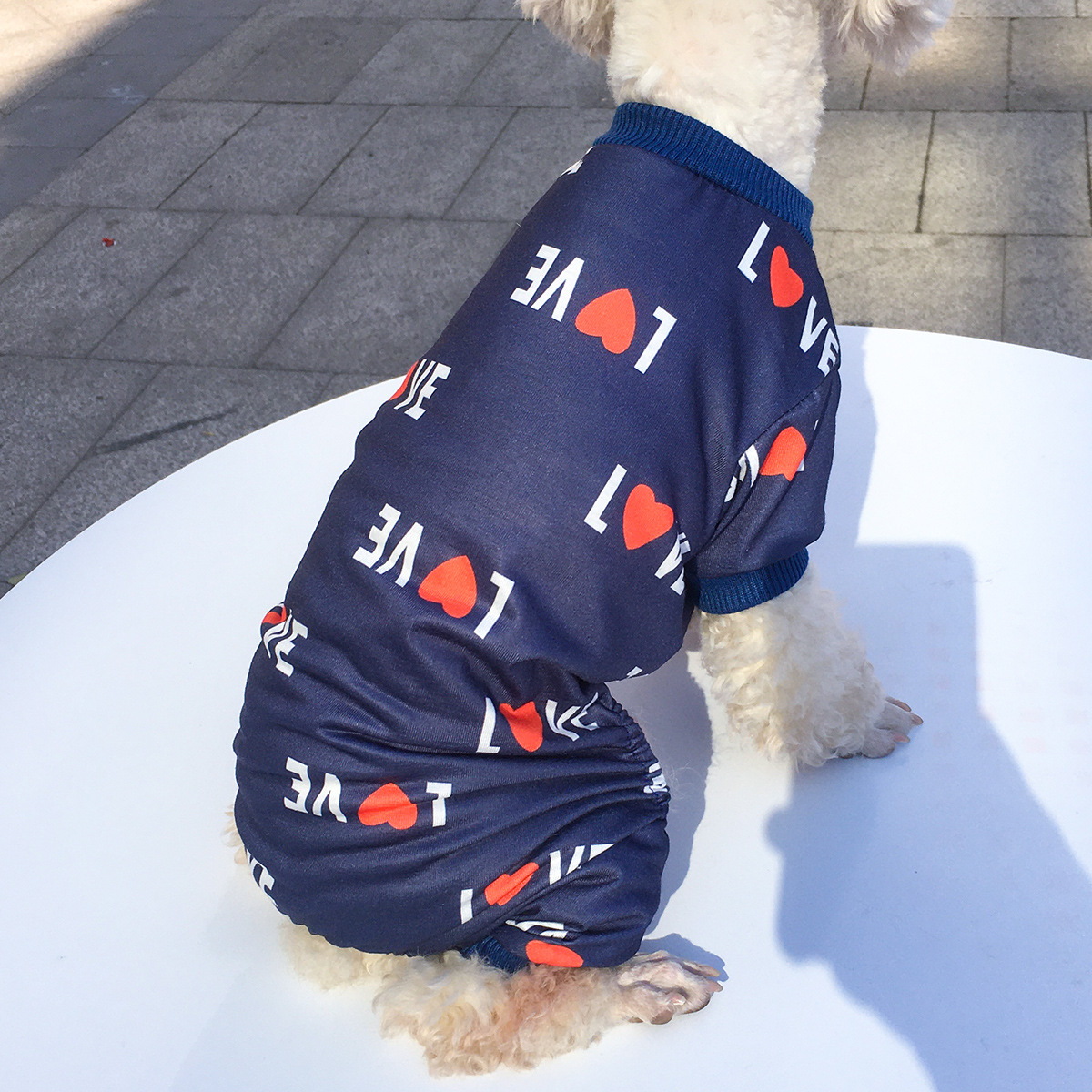 Title 11, Honden kleding voor vier poten