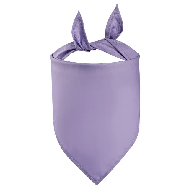 Pet Cotton Pinafore Triangular Binder Purple - Shop at LoveMi