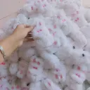 Cute White