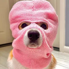 Corgi Puppy Headgear Hat Dog Creative Headdress - Pink - View 1