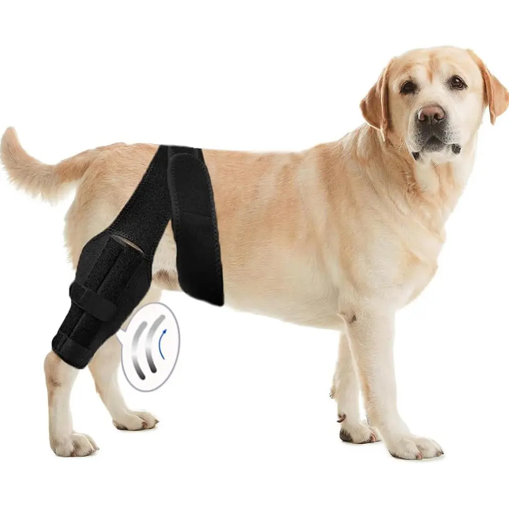 Pet Protective Gear Dog Leg Injury Assistance