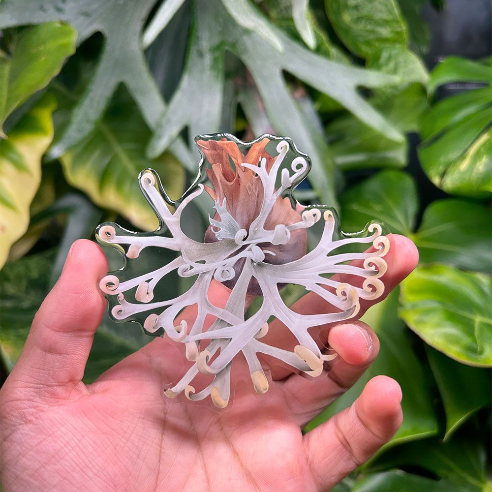https://cf.cjdropshipping.com/quick/product/a7543ddc-0163-4da5-b250-c37bb21bc95c.jpg