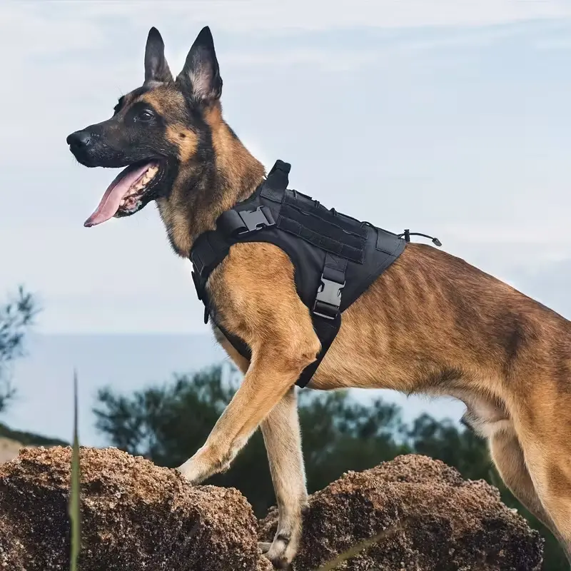 Dog Tactical Handheld Harness