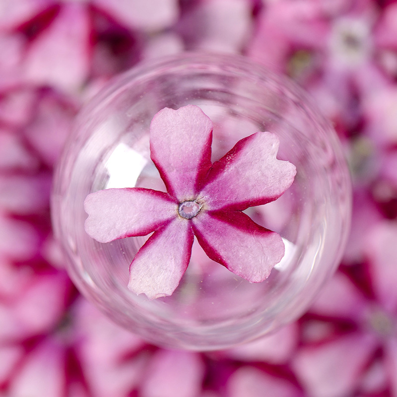 One Red Flower