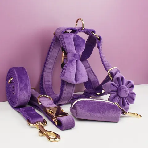 Plush Dog Collar and Leash Pet Supplies