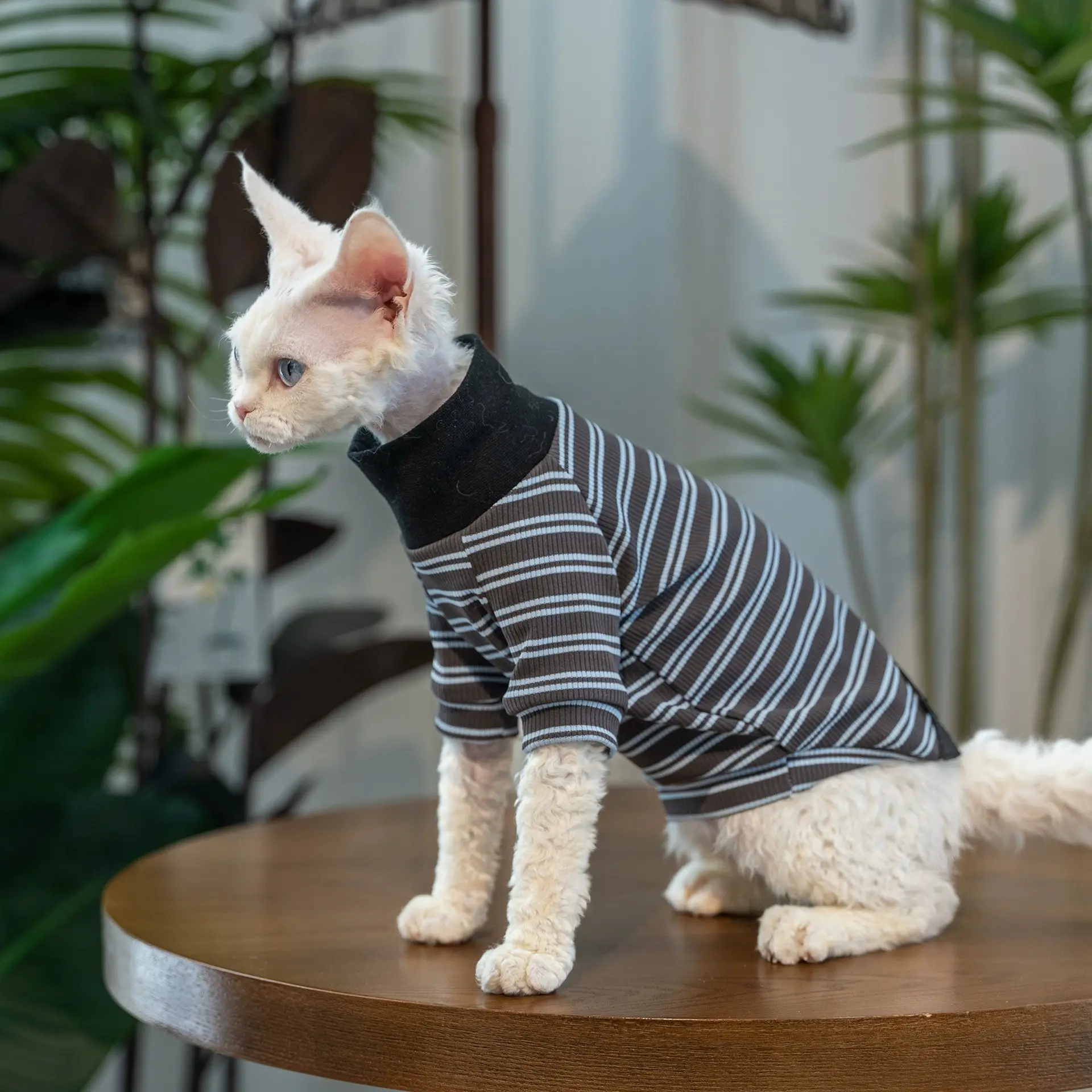 Summer New Striped T-Shirt Pet Clothes