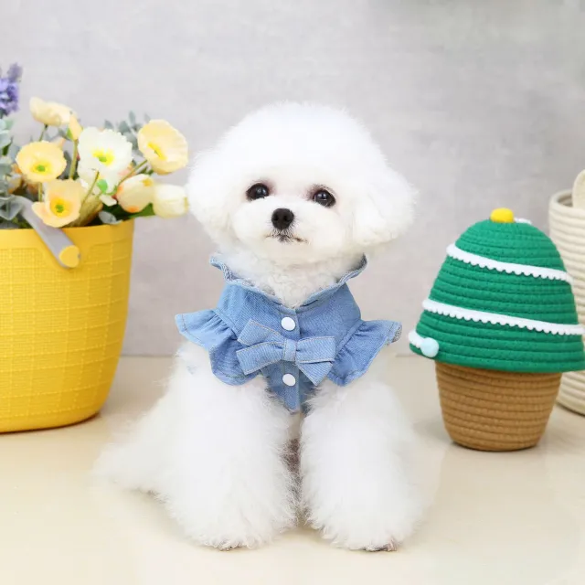 Clothes Summer Dog Not With Rope Light Blue - Shop at LoveMi