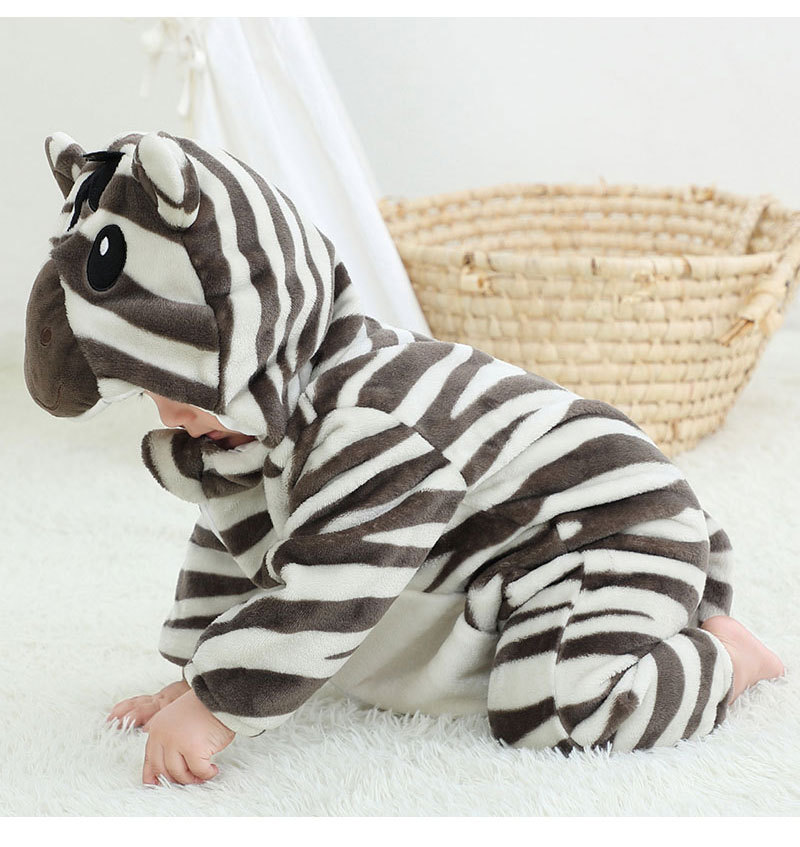 Catwalk Zebra