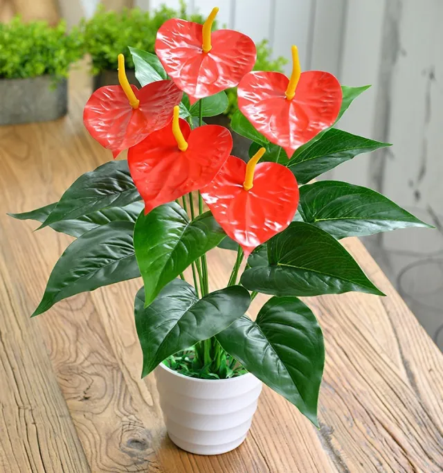 Artificial Green Plant 18 Head Anthurium Andraeanum Lind Flower Plastic Fake Flower Decorative Basin 5 Flowers - Shop at LoveMi