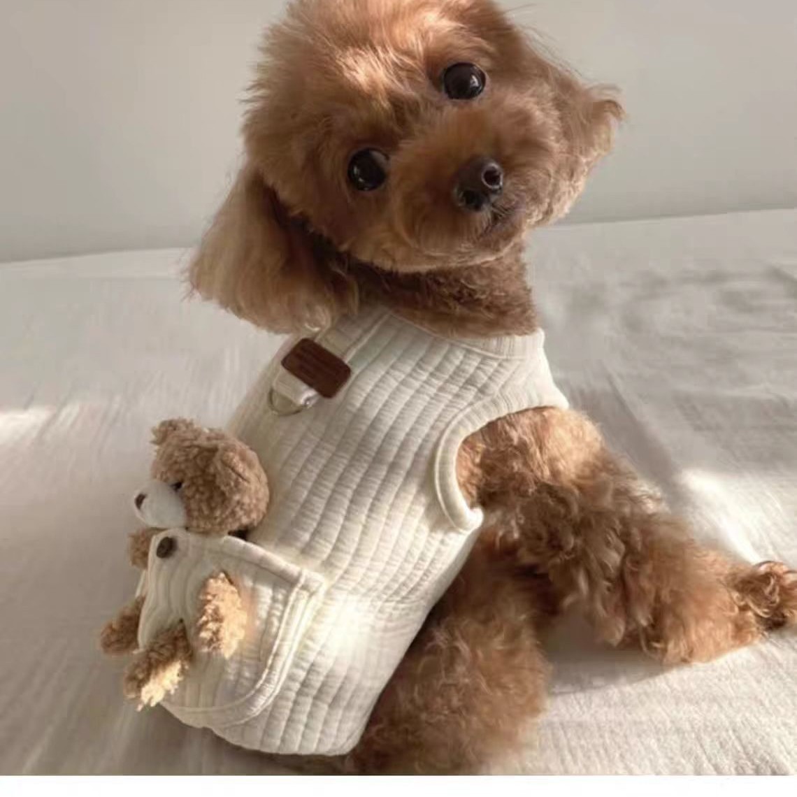 https://cf.cjdropshipping.com/quick/product/a88efa91-ce3c-431a-be2b-095c662ccbdc.jpg