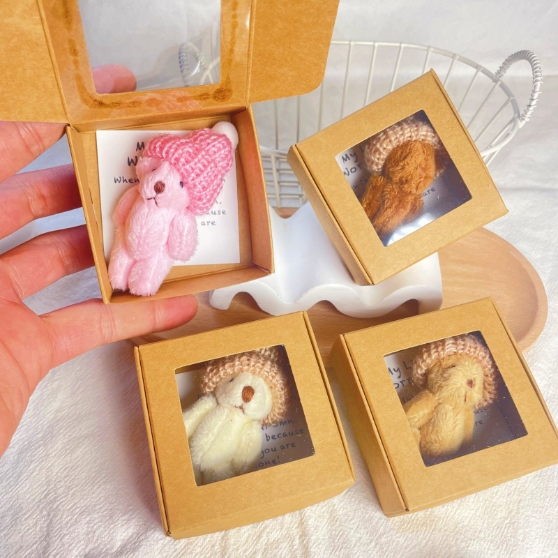 Pocket Teddy Mini Plush Bear Boxed Gift