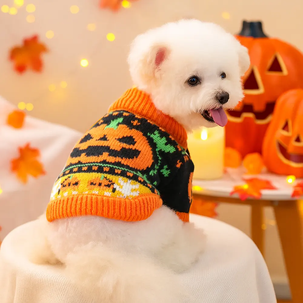 Fashion Personality Halloween Pet Clothes Dog