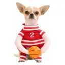 101 Red Basketball Jersey