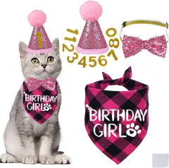 Pet Birthday Plaid Mouth Catty Scarf Glitter Hat Sequined Bow Tie Suit Number Birthday Arrangement - Rose Red - View 1