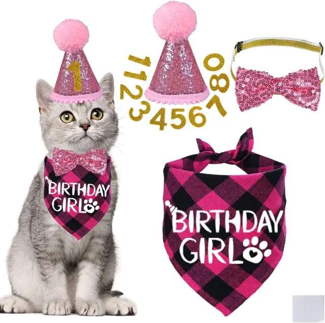 Pet Birthday Plaid Mouth Catty Scarf Glitter Hat Sequined Bow Tie Suit Number Birthday Arrangement Rose Red - Shop at LoveMi