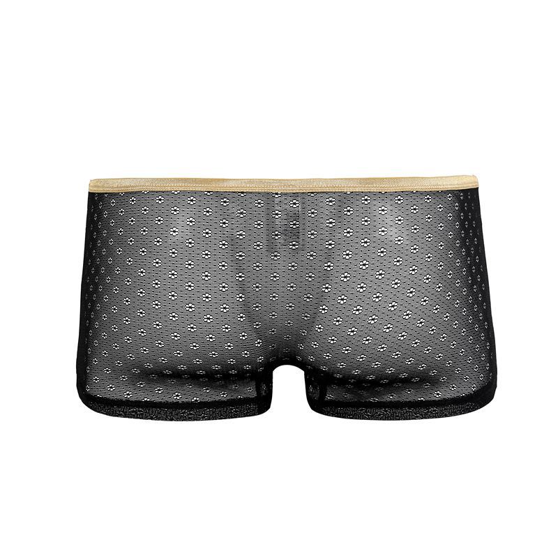 Title 6, Boxer shorts da uomo in mesh trasparente e tras...