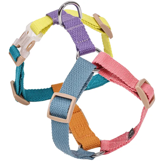 Fresh Six color H shaped PET's Chest back Pink Blue - Shop at LoveMi