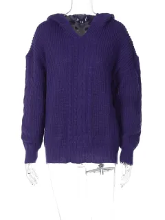 Autumn New Fashion Street Shooting Style Hooded Long-sleeved Knitted Sweater - Dark Purple - View 1
