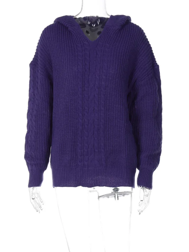 Autumn New Fashion Street Shooting Style Hooded Long sleeved Knitted Sweater Dark Purple - Shop at LoveMi