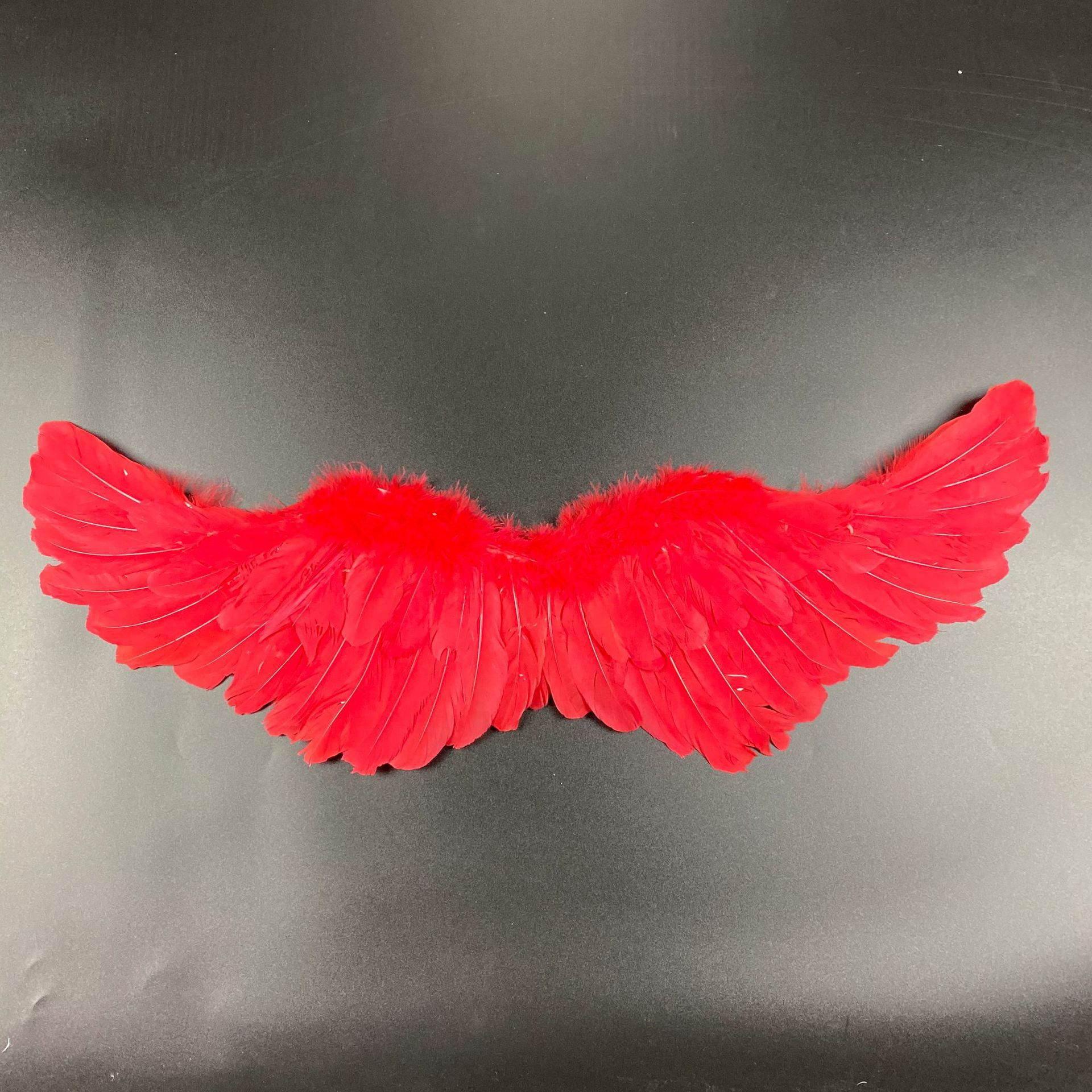 Title 6, Personalized Halloween COSPLAY Angel Wings