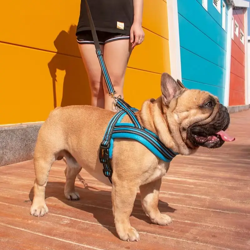 Dog Leash Vest-style Chest Harness