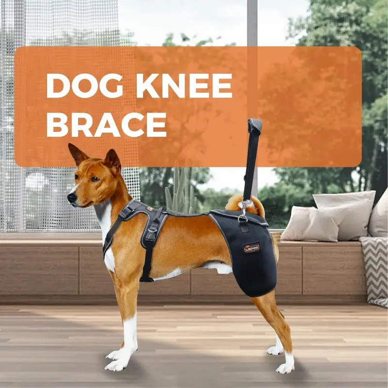 Pet Dog Hip Joint Knee Support Brace