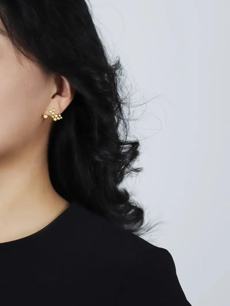 Sterling Silver Light Luxury Floating Star Temperament Earrings