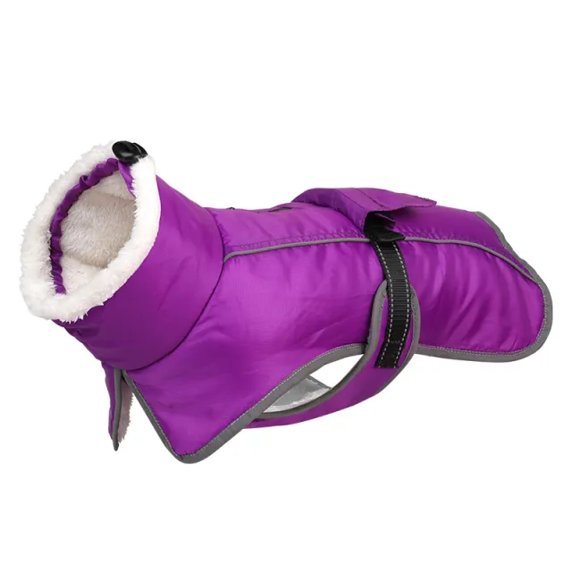 Winter Large Dog Golden Retriever Jarre Aero Bull Corgi Puppy Clothes Warm Purple - Shop at LoveMi