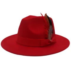 Bow Feather Autumn And Winter Broad-brimmed Hat European And American Style Cashmere Felt Cap - Red - View 1